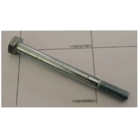 HEX HEAD CAP SCREW 10MMX110MM