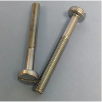 PAN HD. SLOTTED MACH SCREW 6MMX55MM