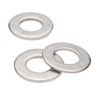 FLAT WASHER (1/2)